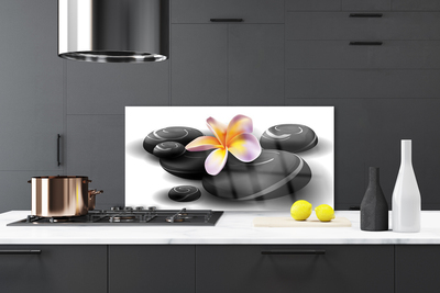 Crédence de cuisine en verre Fleurs pierres nature noir jaune violet gris