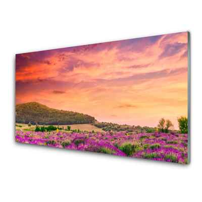 Crédence de cuisine en verre Prairie fleurs paysage violet vert rose