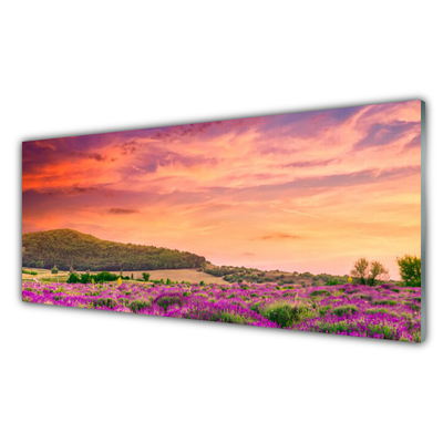 Crédence de cuisine en verre Prairie fleurs paysage violet vert rose
