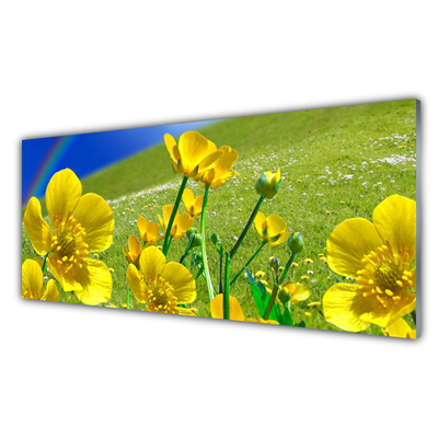 Crédence de cuisine en verre Prairie fleurs arc en ciel nature jaune bleu vert
