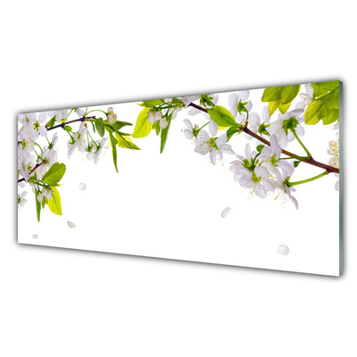 Crédence de cuisine en verre Fleurs feuilles nature blanc vert