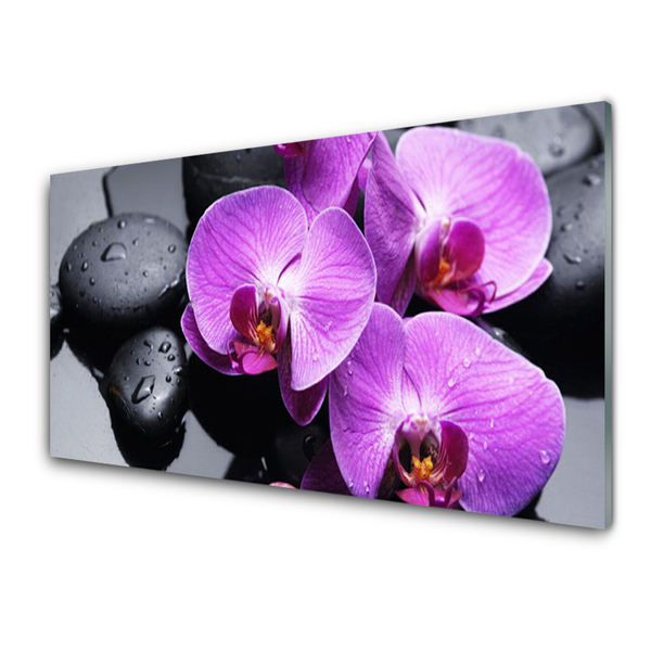 Crédence de cuisine en verre Fleurs pierres floral violet noir