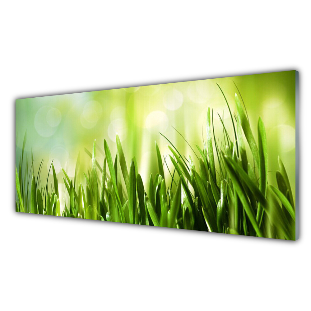 Crédence Cuisine Tulup Verre Trempé 100x70cm | Protection Éclaboussures Vert Herbes