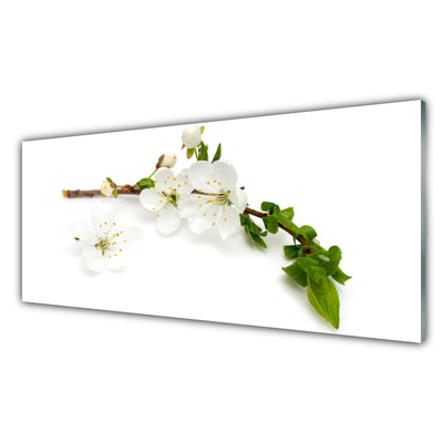 Crédence de cuisine en verre Fleurs branche nature blanc brun vert