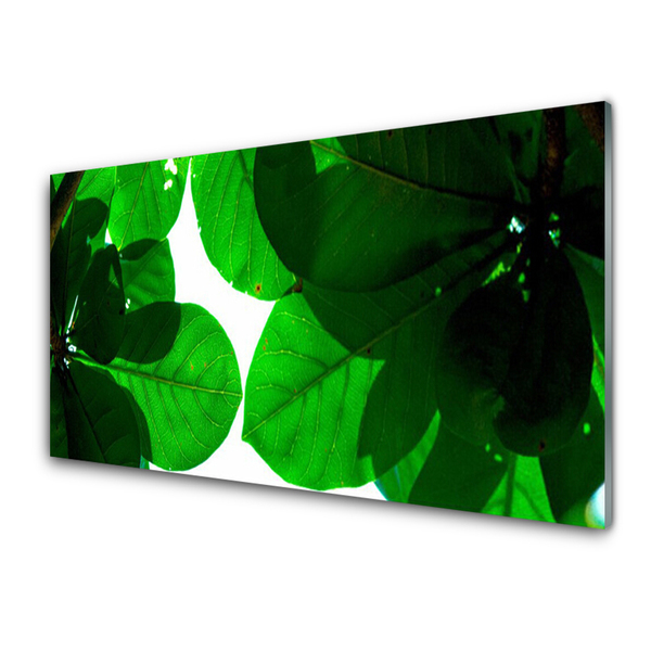 Crédence de cuisine en verre Feuilles floral vert