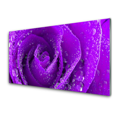 Crédence de cuisine en verre Rose floral violet