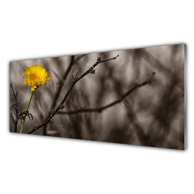 Crédence de cuisine en verre Branche fleur floral gris jaune