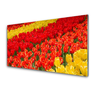 Crédence de cuisine en verre Tulipes floral rouge jaune
