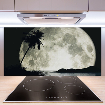 Crédence de cuisine en verre Nuit lune palme paysage noir gris blanc