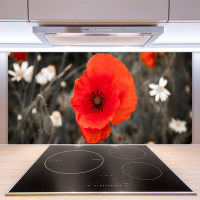 Crédence de cuisine en verre Fleur floral rouge gris