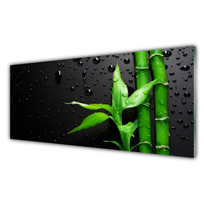 Crédence de cuisine en verre Bambou feuilles floral vert noir