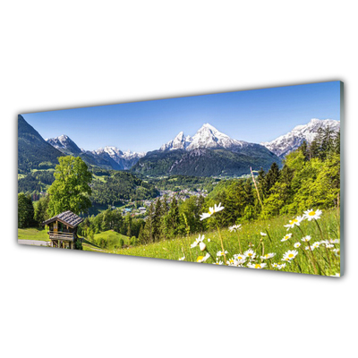 Crédence de cuisine en verre Montagnes champs nature vert gris blanc