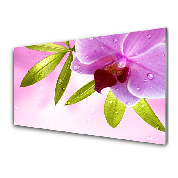 Crédence de cuisine en verre Feuilles fleurs floral rose vert