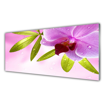 Crédence de cuisine en verre Feuilles fleurs floral rose vert