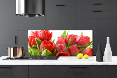 Crédence de cuisine en verre Tulipes floral rouge vert
