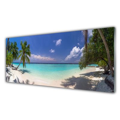 Crédence de cuisine en verre Mer plage palmiers paysage blanc bleu vert brun
