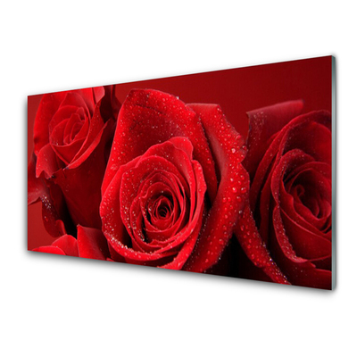Crédence de cuisine en verre Roses floral rouge