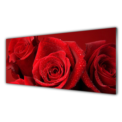 Crédence de cuisine en verre Roses floral rouge