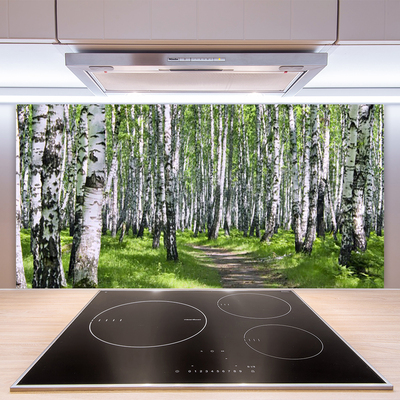 Crédence de cuisine en verre Forêt sentier nature vert brun blanc noir