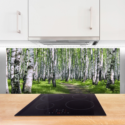 Crédence de cuisine en verre Forêt sentier nature vert brun blanc noir