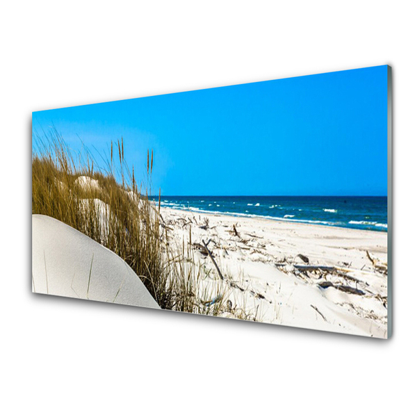 Crédence de cuisine en verre Plage paysage vert blanc