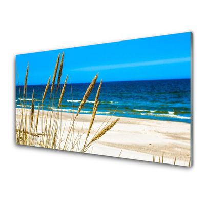 Crédence de cuisine en verre Mer plage paysage brun bleu