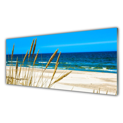 Crédence de cuisine en verre Mer plage paysage brun bleu