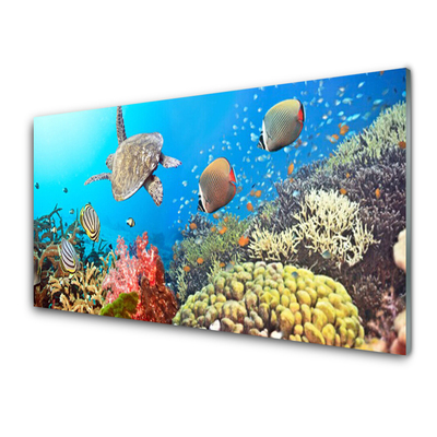 Crédence de cuisine en verre Récif de corail paysage multicolore