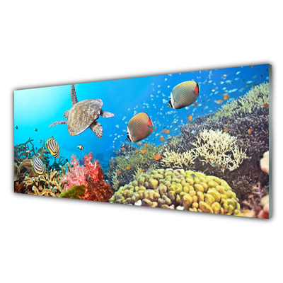 Crédence de cuisine en verre Récif de corail paysage multicolore