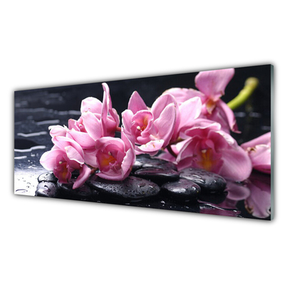 Crédence de cuisine en verre Pierres fleurs floral rose noir