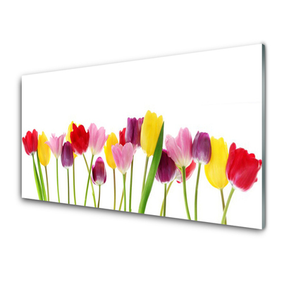 Crédence de cuisine en verre Tulipes floral multicolore