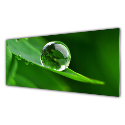 Crédence de cuisine en verre Feuille goutte d'eau floral vert