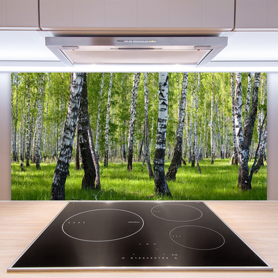 Crédence de cuisine en verre Forêt nature noir blanc vert