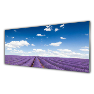 Crédence de cuisine en verre Fleurs prairie nature violet