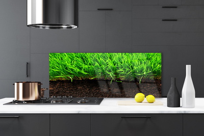 Fond de panier de cuisine en verre ESG anti-projections 125x50cm Herbe Nature