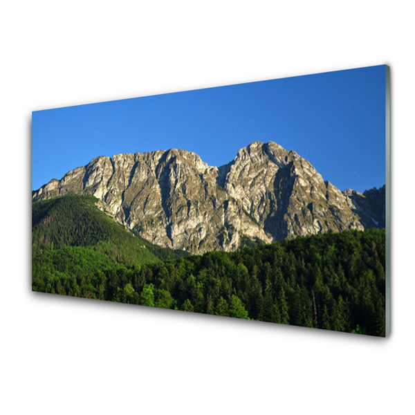 Crédence de cuisine en verre Montagne forêt nature gris vert