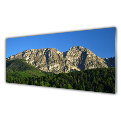 Crédence de cuisine en verre Montagne forêt nature gris vert