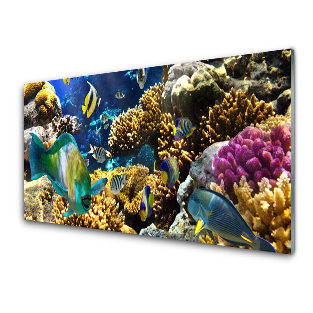 Crédence de cuisine en verre Récif de corail nature multicolore