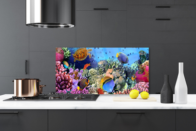 Crédence de cuisine en verre Récif de corail nature multicolore