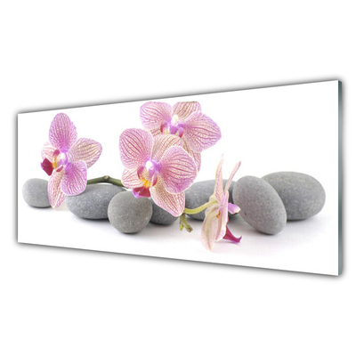 Crédence de cuisine en verre Arbres pierres floral rose gris