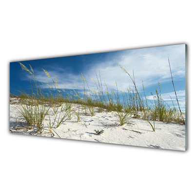 Crédence de cuisine en verre Plage paysage brun vert