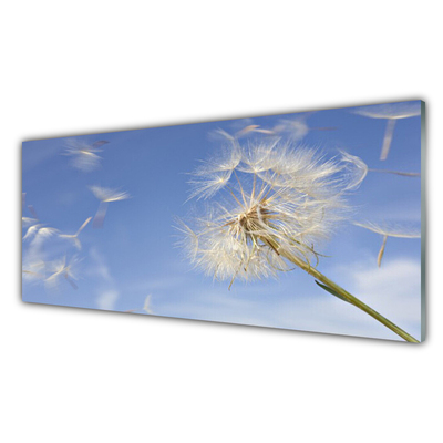 Crédence de cuisine en verre Pissenlit floral blanc bleu