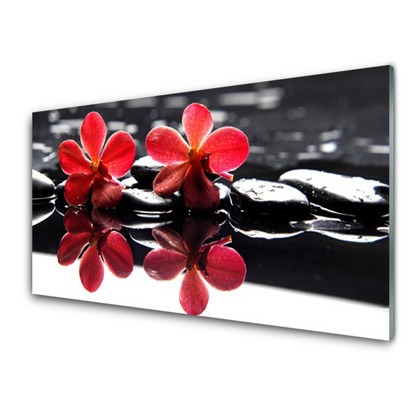 Crédence de cuisine en verre Fleurs pierres floral rouge noir