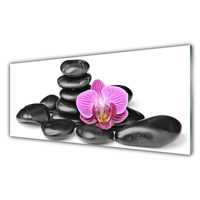 Crédence de cuisine en verre Fleurs pierres art rose noir