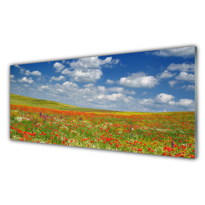 Crédence de cuisine en verre Fleurs prairie paysage rouge blanc vert