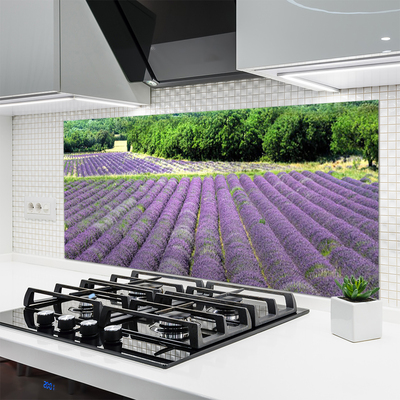 Crédence de cuisine en verre Fleurs prairie nature violet vert