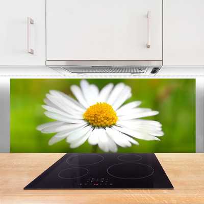 Panneaux de cuisine en verre Marguerite floral jaune blanc