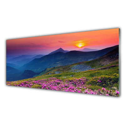 Panneaux de cuisine en verre Montagnes prairie fleurs paysage jaune bleu vert rose
