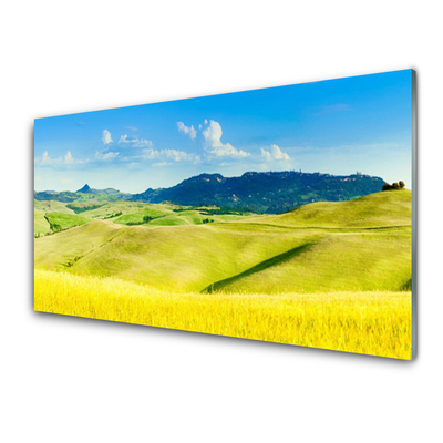 Panneaux de cuisine en verre Montagnes champs paysage vert bleu