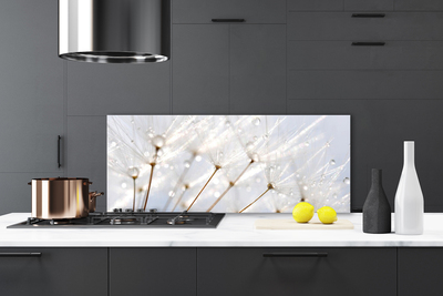 Panneaux de cuisine en verre Pissenlit floral blanc